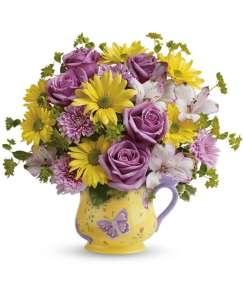 Butterfly Serenity Bloom