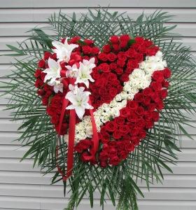 All Rose Broken Heart