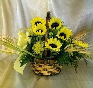 Sunflower Shine